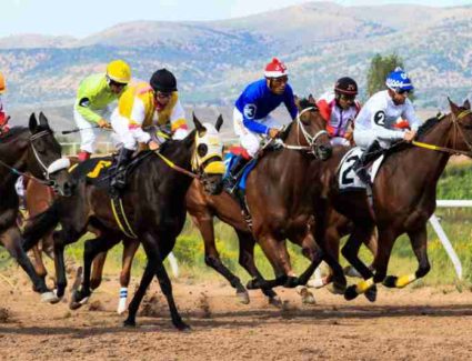 Horse racing sports betting